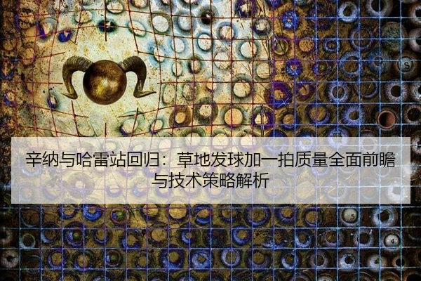 xin-na-yu-ha-lei-zhan-hui-gui-cao-di-fa-qiu-jia-yi-pai-zhi-liang-quan-mian-qian-zhan-yu-ji-shu-ce-lve-jie-xi-2-515.jpg